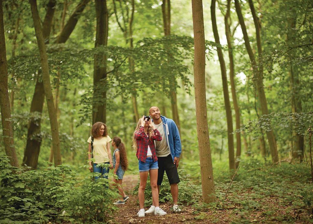 Wigbay Holiday Park Kirkcolm Bagian luar foto